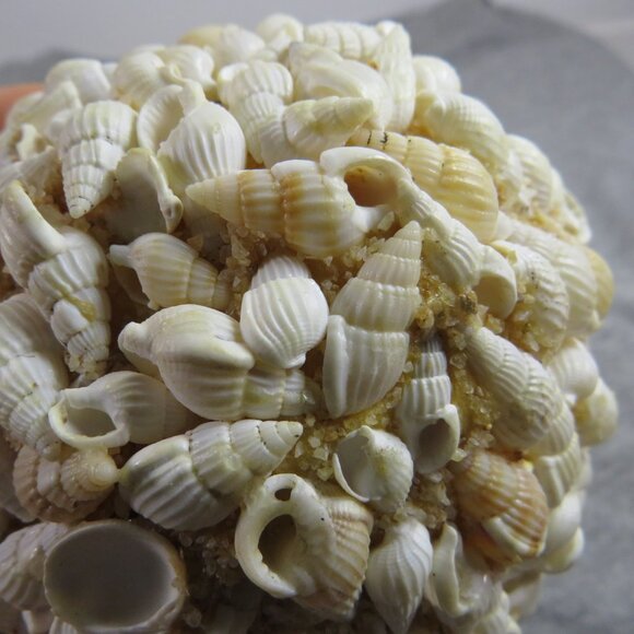 Hanging Sea Shell Ball - Orb - Round Coastal Decoration 13" round - Picture 4 of 13